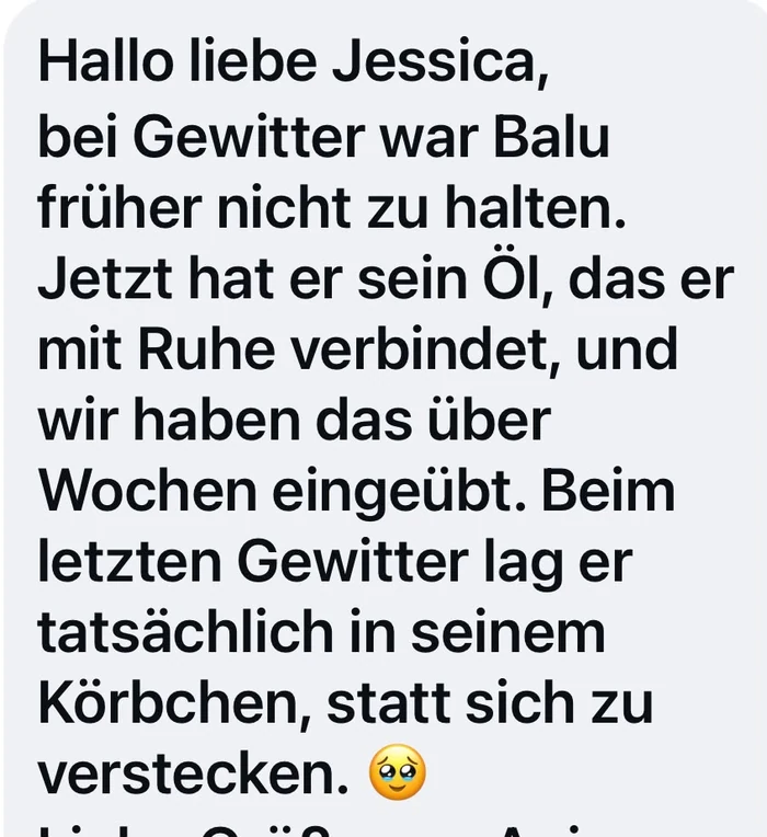 Nachricht einer Kundin: Ihr Kater Balu war bei Gewitter nicht zu halten und lag beim letzten Gewitter ruhig in seinem Körbchen
