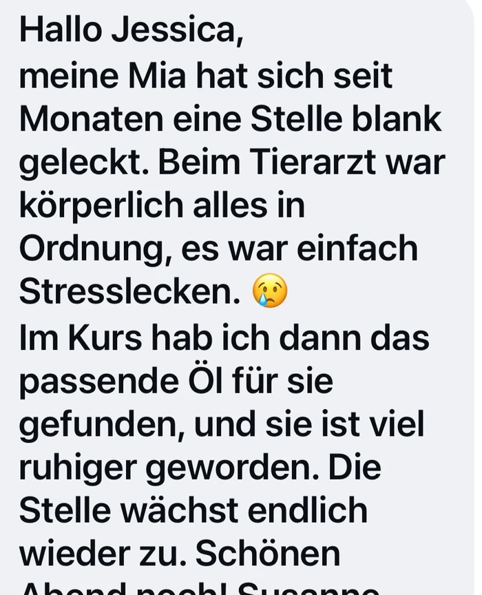 Nachricht einer Kundin: Ihre Katze Mia hat sich aus Stress blank geleckt, beim Tierarzt war körperlich alles in Ordnung, über den Kurs fand sie das passende Öl und die Stelle heilt wieder
